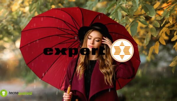 expert