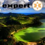 expert