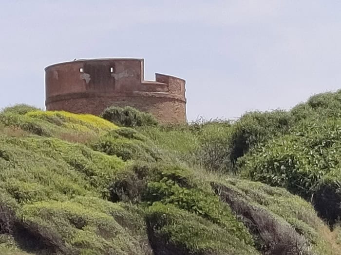 TCL 20 pro fotocamera 3