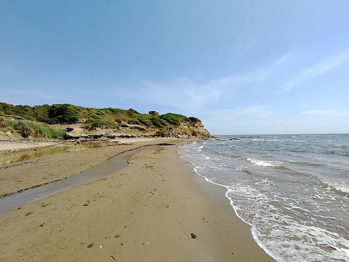 TCL 20 pro fotocamera 5