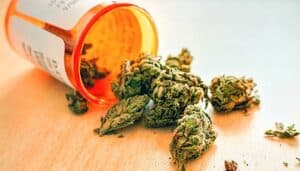 amazon-vendere marijuana-piattaforma