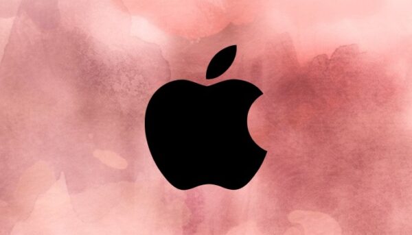 iPhone Flip