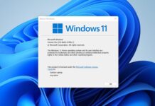 windows-11-gratuito-aggiornamento-usarlo