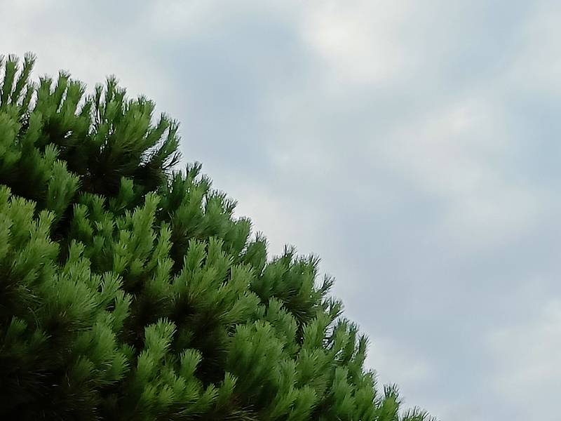 OP Nord2 Fotocamera 7