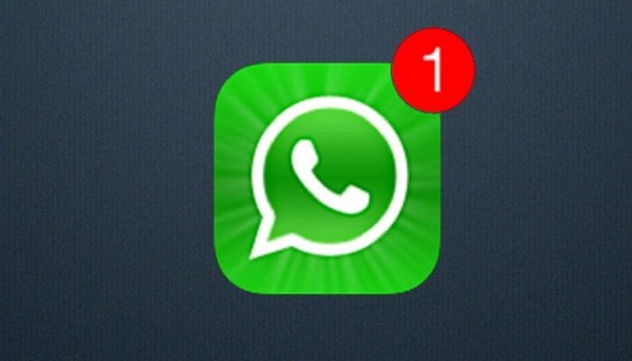 WhatsApp immagini video view once nuova feature