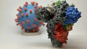 variante-delta-contagiosità-coronavirus