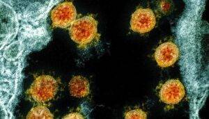 variante-lambda-ceppo-virus