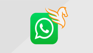 whatsapp pegasus