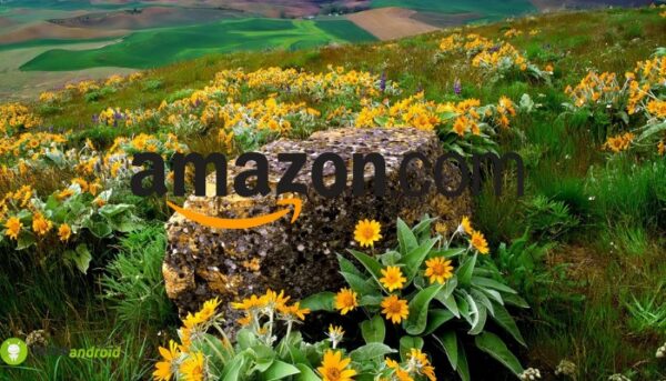 amazon