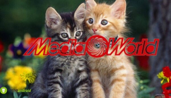 mediaworld