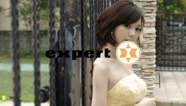 expert