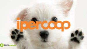 coop