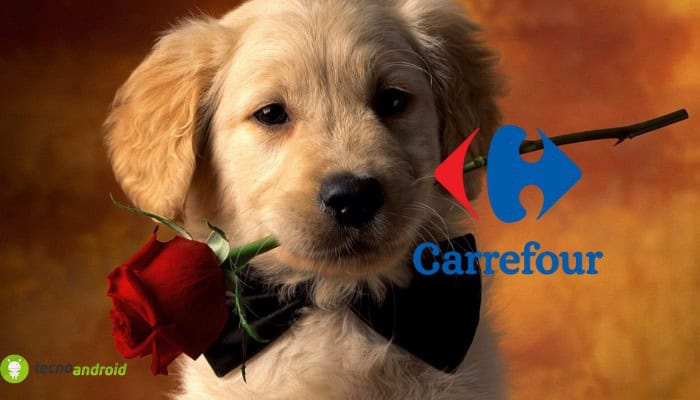 carrefour