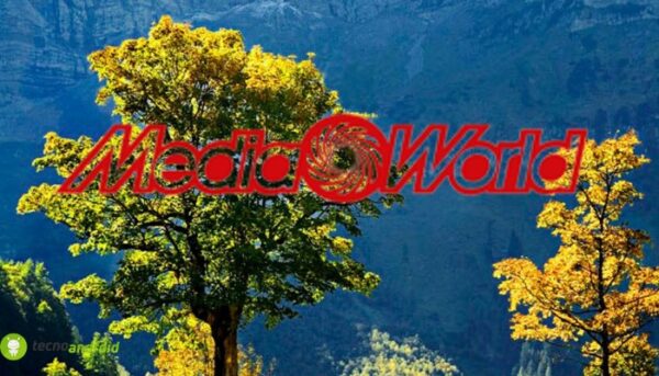 mediaworld