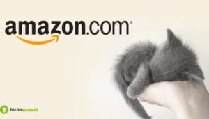 amazon