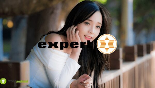 expert