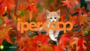 coop