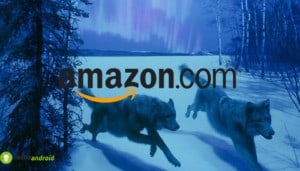 amazon