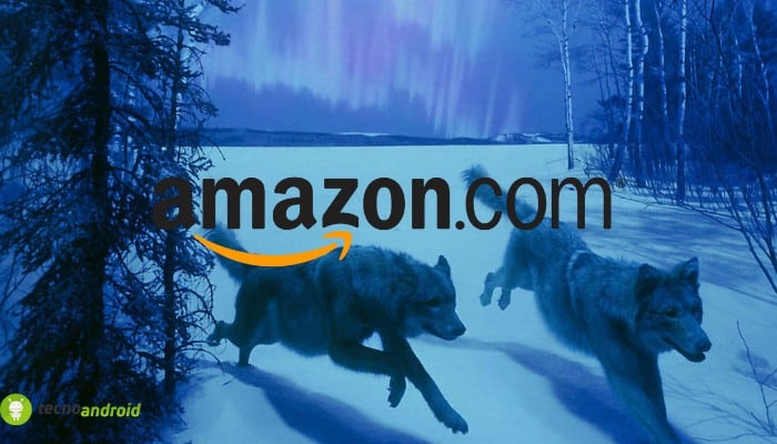 amazon