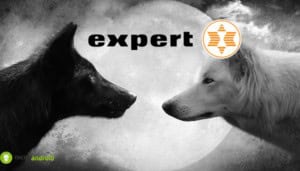 expert