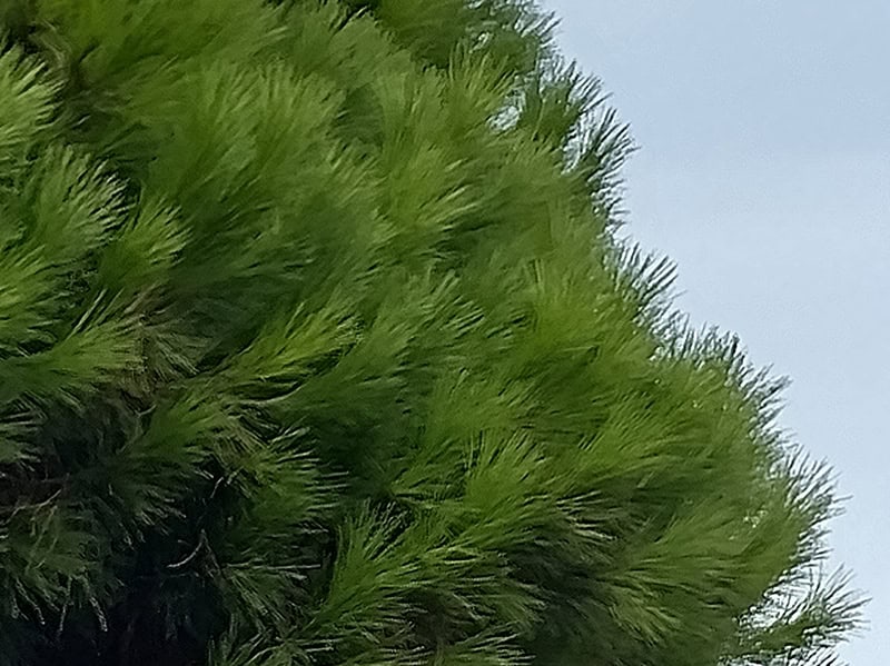 Nokia X20 fotocamera 7