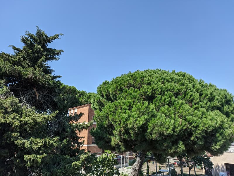 Realme gt master fotocamera 17