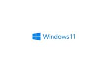 windows-11-rimossi-pc-non-supportati-programma-beta