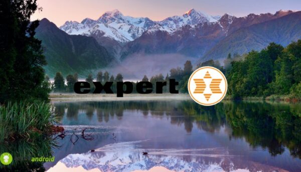 expert