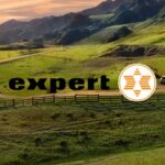 expert