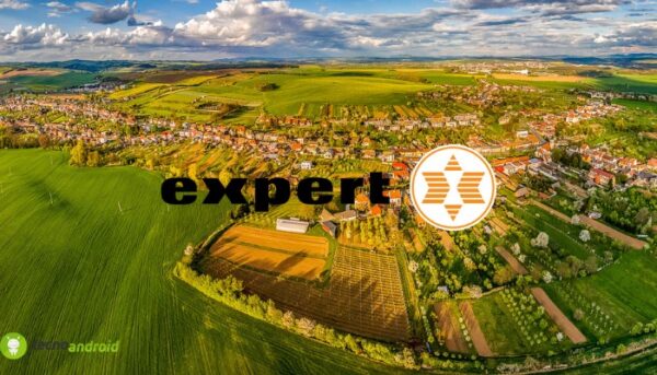 expert