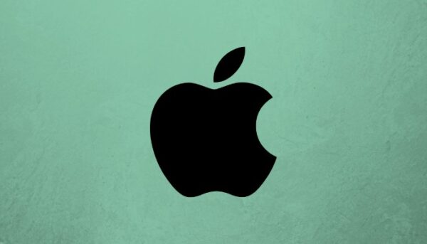 iPhone notch