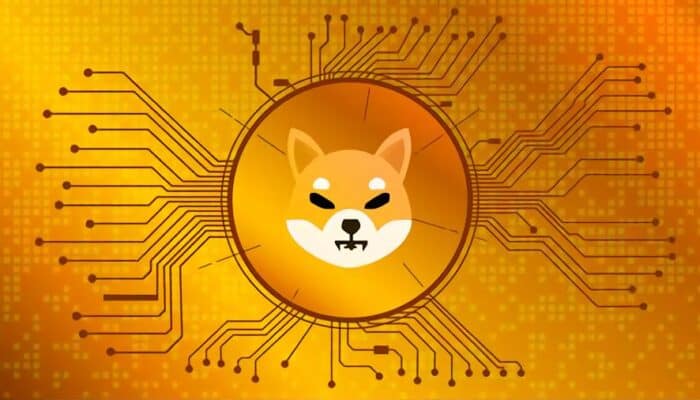 criptovalute