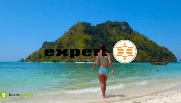 expert