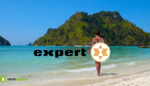 expert