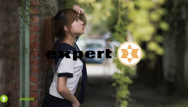 expert