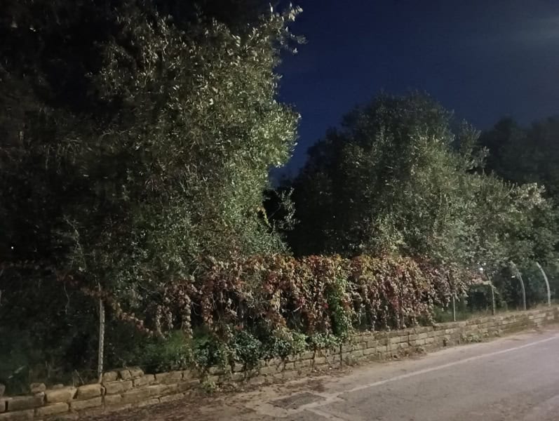 Fotocamera poco m4 pro 12