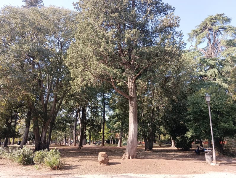 Fotocamera poco m4 pro 4