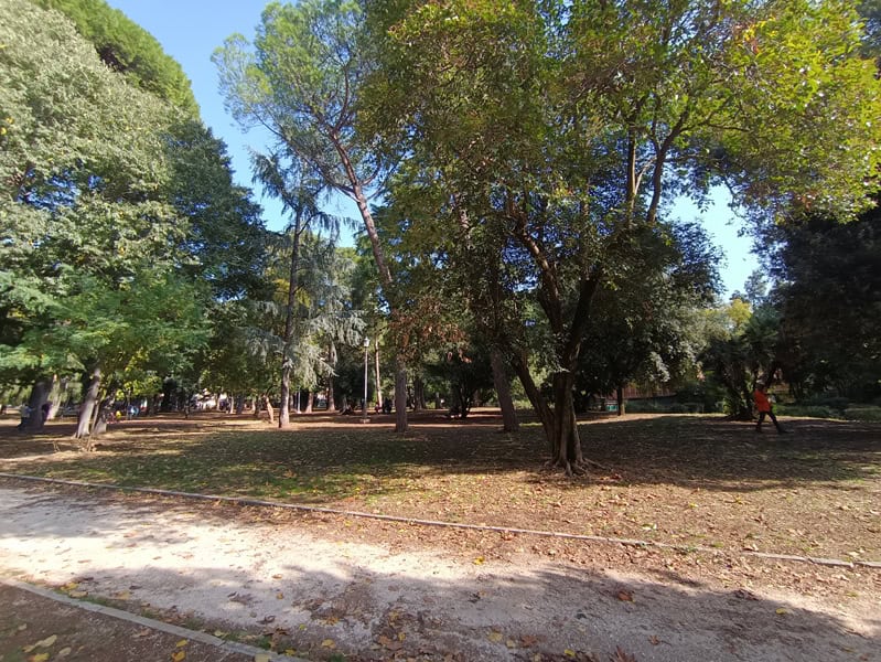 Fotocamera poco m4 pro 9