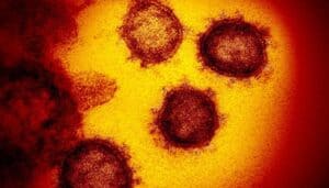coronavirus