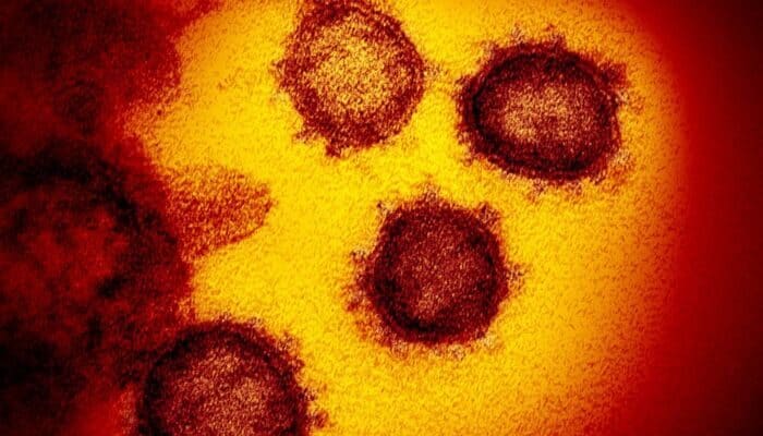 coronavirus