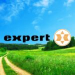 expert