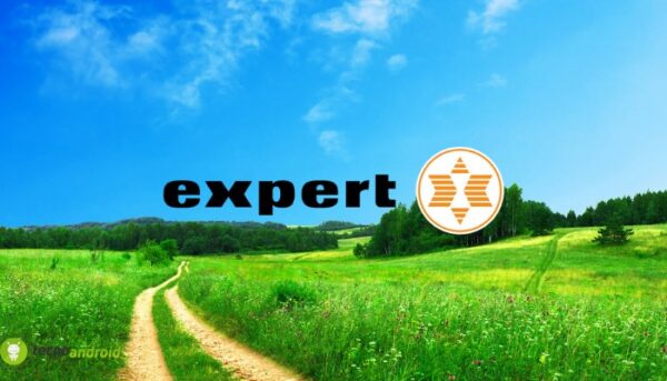 expert