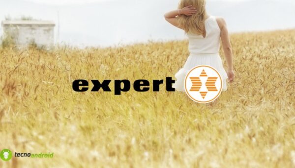 expert