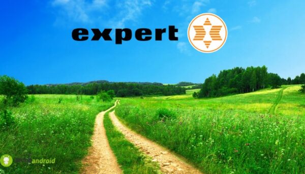 expert