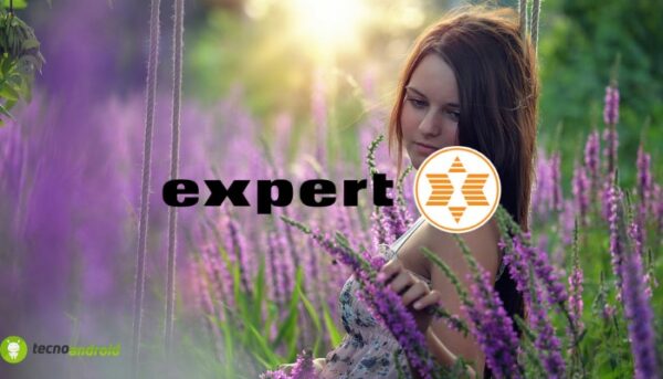 expert