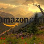 amazon