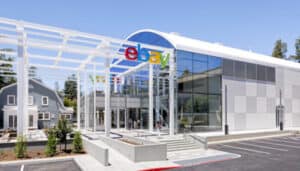 ebay oggetti rari