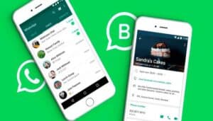 whatsapp business beta
