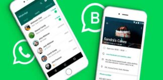 whatsapp business beta