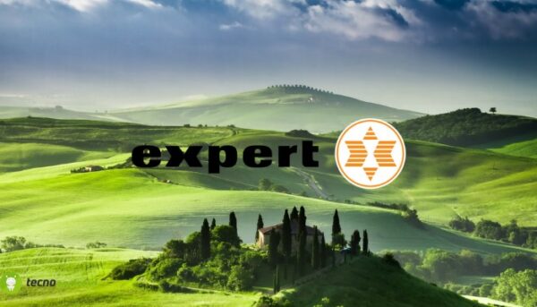 expert